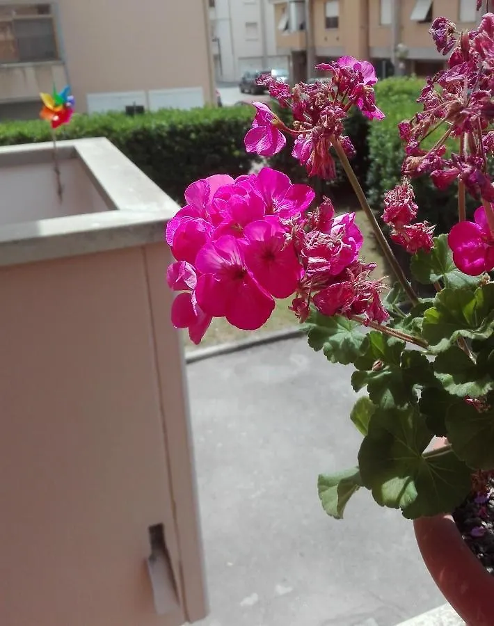 Apartment Welchome - Cisanello Pisa Italy